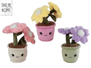Obrázek z Rostliny pokojové plyš 22cm 3dr (6/66) 